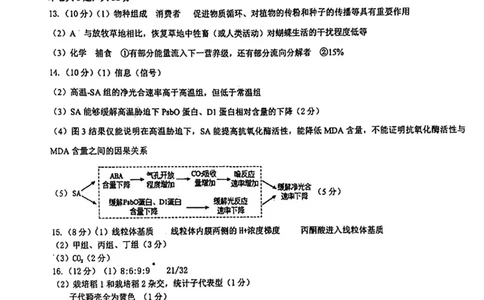 河东区25-26高三一模生物答案_2024-2026高三（6-6月题库）_2026年04月高三试卷_2604072026届天津市河东区高三下学期总复习质量检测（一）（全科）