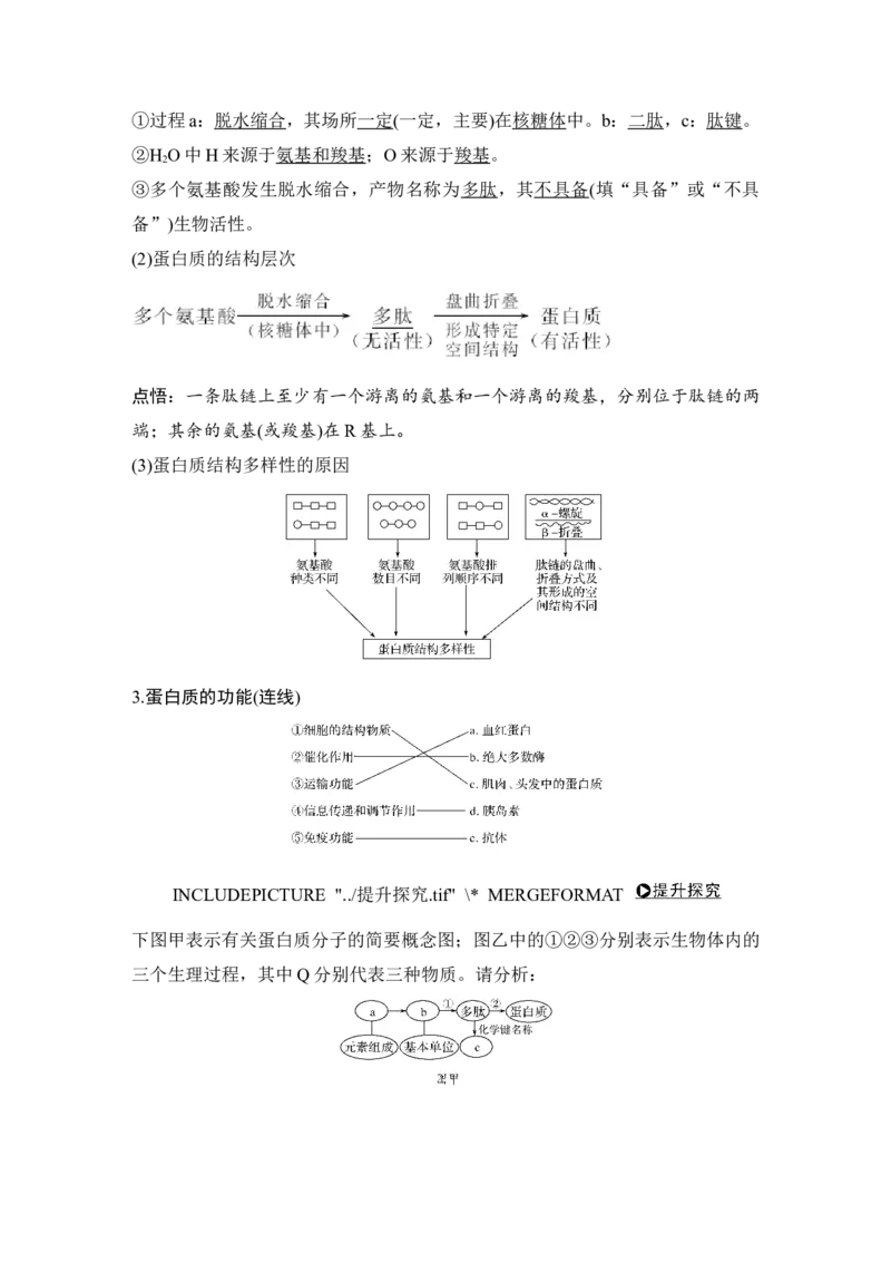 必修一第一单元第3讲_新高考复习资料_2022年新高考复习资料_2022年一轮复习最新版_1.2022年高考生物一轮复习全国通用版_2022年新高考生物一轮复习讲义（最新版）_赠送word习题库