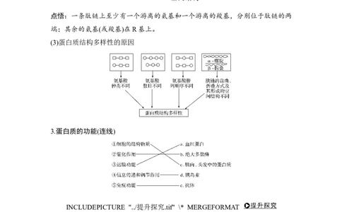 必修一第一单元第3讲_新高考复习资料_2022年新高考复习资料_2022年一轮复习最新版_1.2022年高考生物一轮复习全国通用版_2022年新高考生物一轮复习讲义（最新版）_赠送word习题库