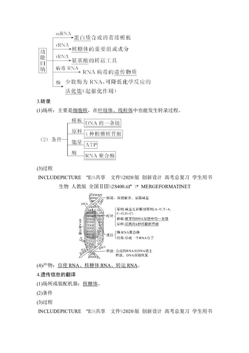 必修二第六单元第18讲_新高考复习资料_2022年新高考复习资料_2022年一轮复习最新版_1.2022年高考生物一轮复习全国通用版_2022年新高考生物一轮复习讲义（最新版）_赠送word习题库