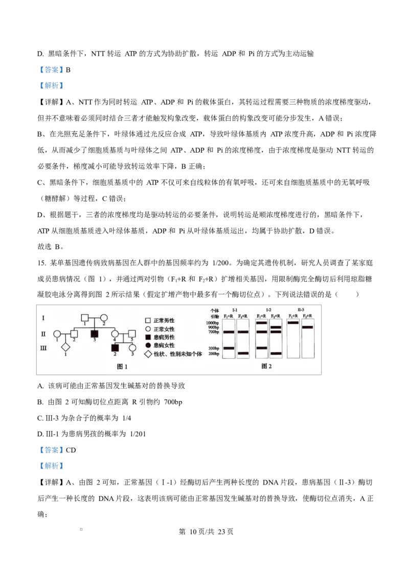 河北衡水市桃城区河北衡水中学2025-2026学年度高三年级下学期综合素质评价三生物学科Word版含解析_2024-2026高三（6-6月题库）_2026年04月高三试卷
