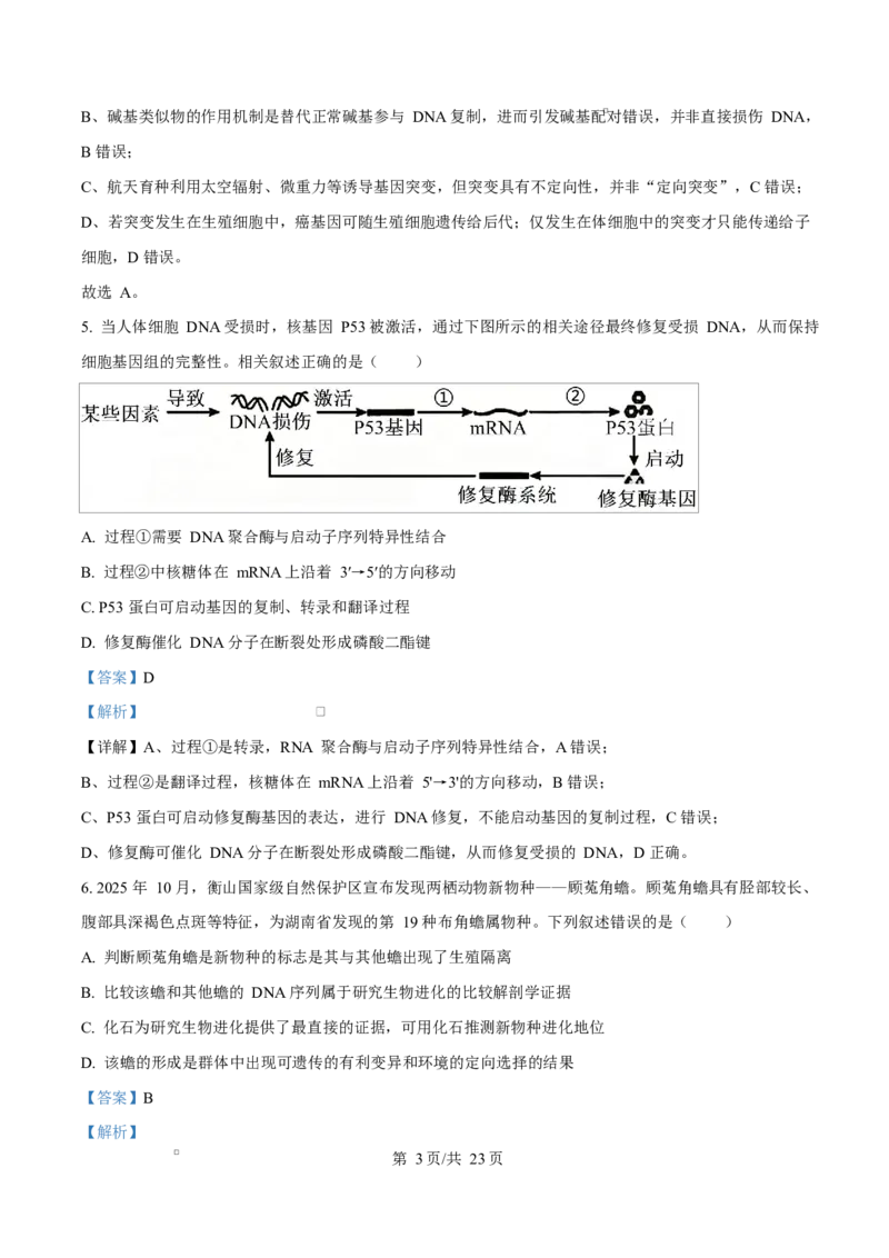 河北衡水市桃城区河北衡水中学2025-2026学年度高三年级下学期综合素质评价三生物学科Word版含解析_2024-2026高三（6-6月题库）_2026年04月高三试卷
