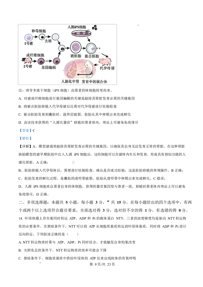 河北衡水市桃城区河北衡水中学2025-2026学年度高三年级下学期综合素质评价三生物学科Word版含解析_2024-2026高三（6-6月题库）_2026年04月高三试卷