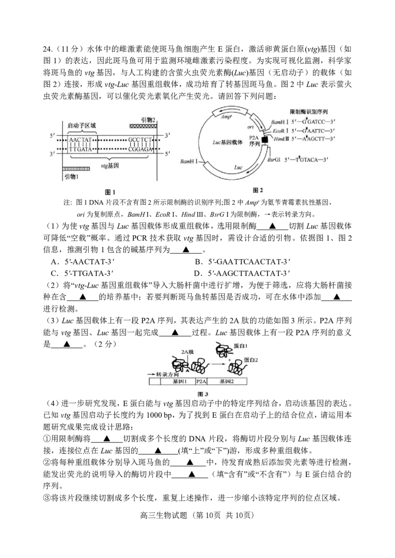 江苏省徐州市第一中学、宿迁中学等苏北六校2026届高三下学期4月联考生物试卷（含答案）_2024-2026高三（6-6月题库）_2026年04月高三试卷