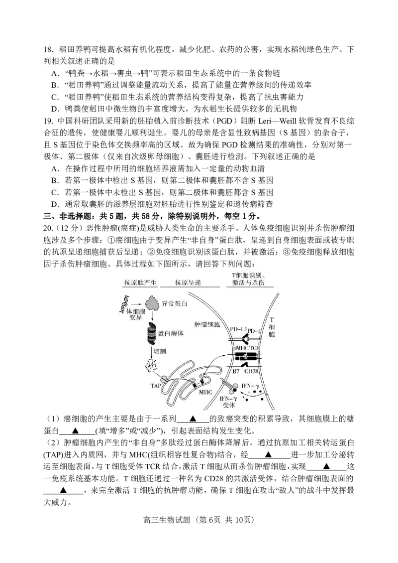 江苏省徐州市第一中学、宿迁中学等苏北六校2026届高三下学期4月联考生物试卷（含答案）_2024-2026高三（6-6月题库）_2026年04月高三试卷