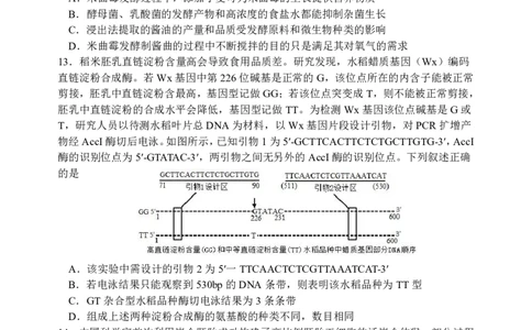 江苏省徐州市第一中学、宿迁中学等苏北六校2026届高三下学期4月联考生物试卷（含答案）_2024-2026高三（6-6月题库）_2026年04月高三试卷