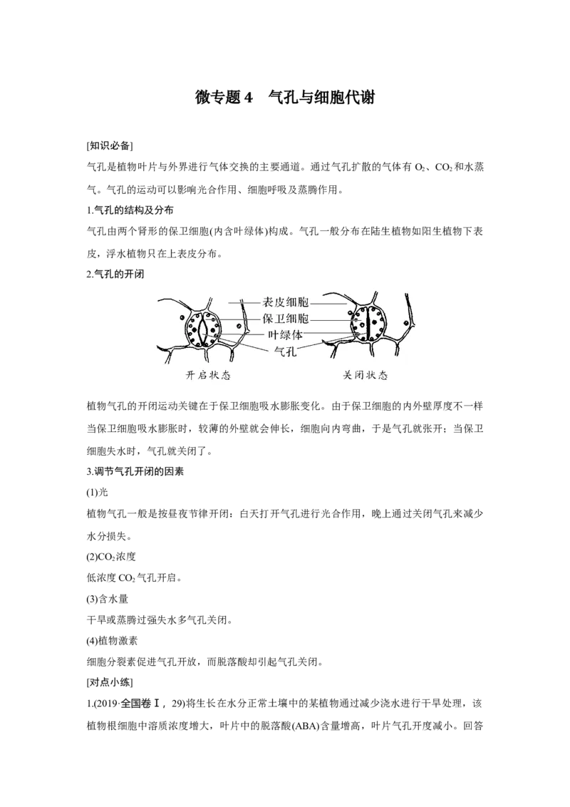 微专题4　气孔与细胞代谢_新高考复习资料_2023年新高考复习资料_一轮复习_2023年新高考大一轮复习讲义_2023年高考生物一轮复习讲义（新人教新高考）_赠补充习题