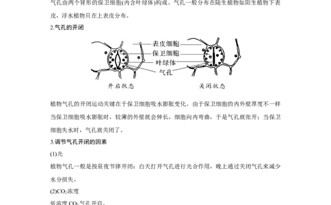 微专题4　气孔与细胞代谢_新高考复习资料_2023年新高考复习资料_一轮复习_2023年新高考大一轮复习讲义_2023年高考生物一轮复习讲义（新人教新高考）_赠补充习题