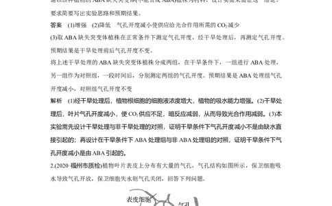 微专题4　气孔与细胞代谢_新高考复习资料_2023年新高考复习资料_一轮复习_2023年新高考大一轮复习讲义_2023年高考生物一轮复习讲义（新人教新高考）_赠补充习题