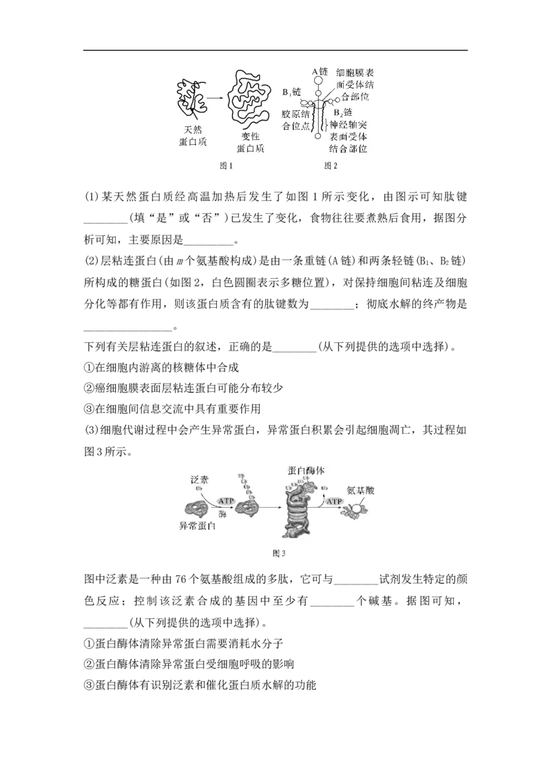夯基提能练3蛋白质、核酸、糖类和脂质-备战2023高考生物一轮复习夯基提能练（全国通用）（原卷版）_通用版（老高考）复习资料_2023年复习资料_一轮复习