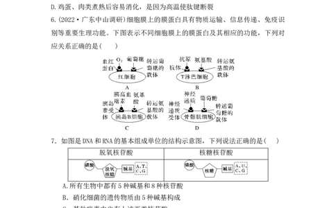 夯基提能练3蛋白质、核酸、糖类和脂质-备战2023高考生物一轮复习夯基提能练（全国通用）（原卷版）_通用版（老高考）复习资料_2023年复习资料_一轮复习