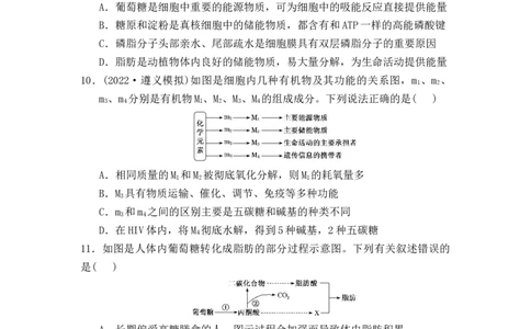 夯基提能练3蛋白质、核酸、糖类和脂质-备战2023高考生物一轮复习夯基提能练（全国通用）（原卷版）_通用版（老高考）复习资料_2023年复习资料_一轮复习