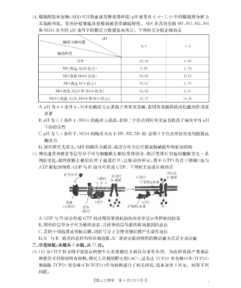 四川省2026届高三下学期3月联考（26-157C）生物_2024-2026高三（6-6月题库）_2026年03月高三试卷_260320四川省2026届高三下学期3月联考（26-157C）（全科）