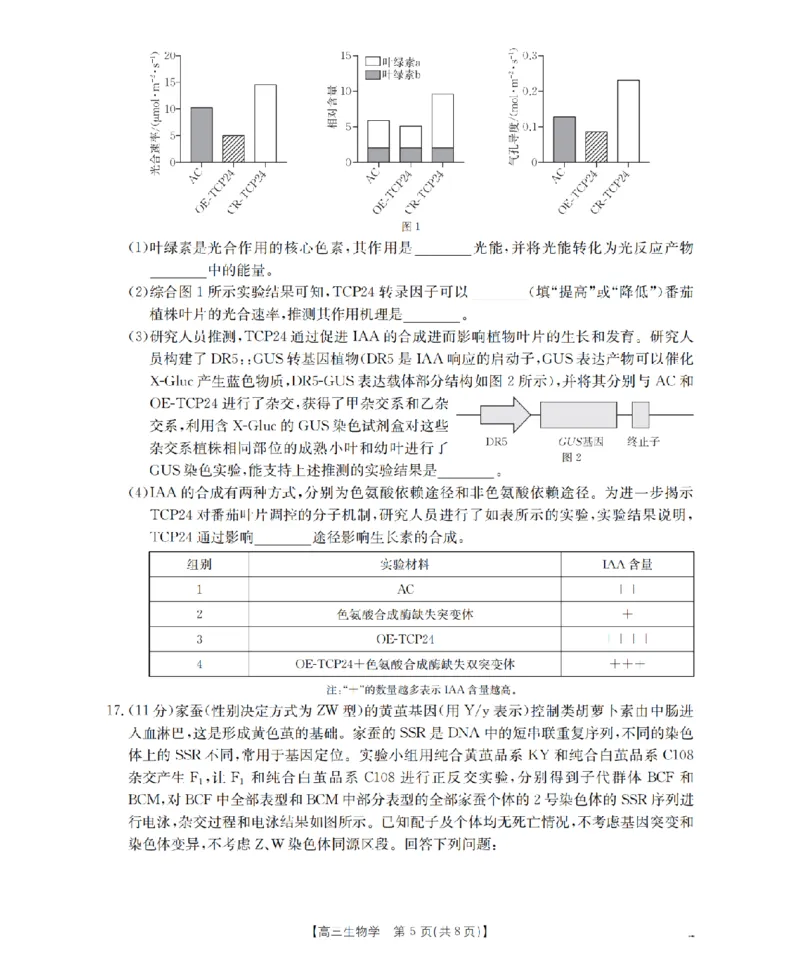 四川省2026届高三下学期3月联考（26-157C）生物_2024-2026高三（6-6月题库）_2026年03月高三试卷_260320四川省2026届高三下学期3月联考（26-157C）（全科）