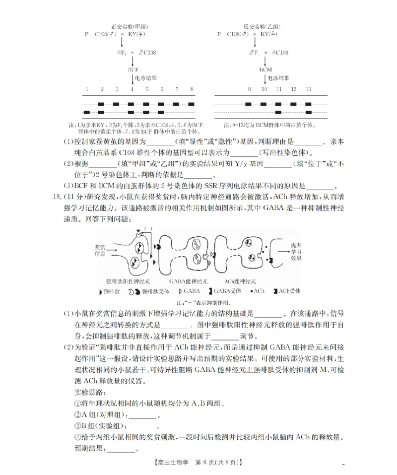 四川省2026届高三下学期3月联考（26-157C）生物_2024-2026高三（6-6月题库）_2026年03月高三试卷_260320四川省2026届高三下学期3月联考（26-157C）（全科）