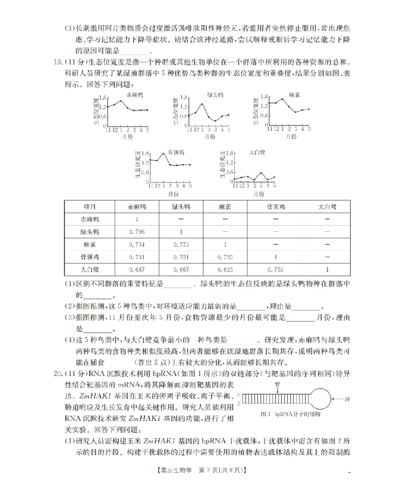 四川省2026届高三下学期3月联考（26-157C）生物_2024-2026高三（6-6月题库）_2026年03月高三试卷_260320四川省2026届高三下学期3月联考（26-157C）（全科）