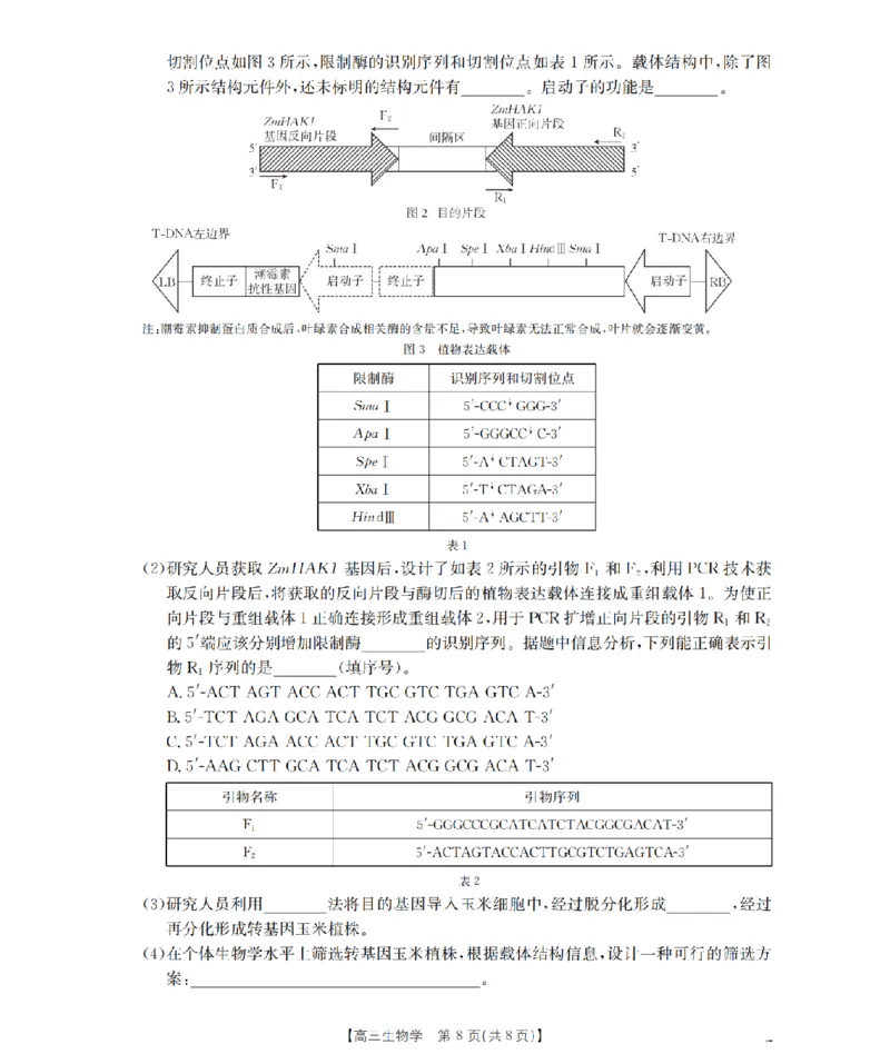 四川省2026届高三下学期3月联考（26-157C）生物_2024-2026高三（6-6月题库）_2026年03月高三试卷_260320四川省2026届高三下学期3月联考（26-157C）（全科）