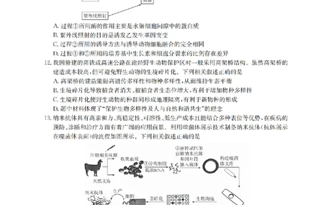 四川省2026届高三下学期3月联考（26-157C）生物_2024-2026高三（6-6月题库）_2026年03月高三试卷_260320四川省2026届高三下学期3月联考（26-157C）（全科）