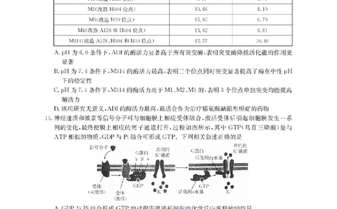四川省2026届高三下学期3月联考（26-157C）生物_2024-2026高三（6-6月题库）_2026年03月高三试卷_260320四川省2026届高三下学期3月联考（26-157C）（全科）