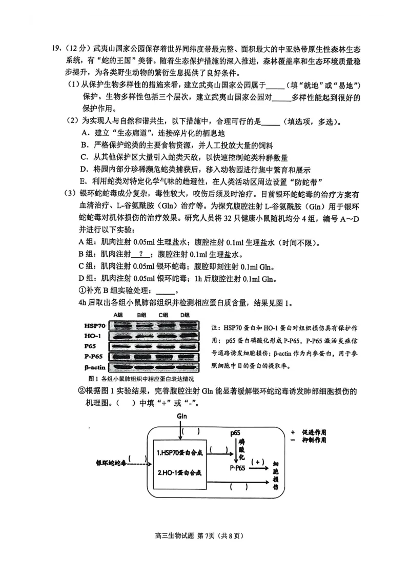 生物试卷2026届泉州市高中毕业班质量检测（二）生物试题_2024-2026高三（6-6月题库）_2026年02月高三试卷_260203福建省泉州市2026届普通高中毕业班质量监测（二）（全科）