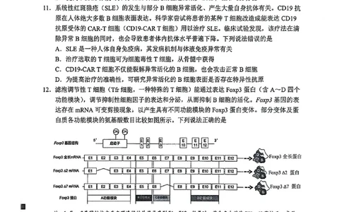 生物试卷2026届泉州市高中毕业班质量检测（二）生物试题_2024-2026高三（6-6月题库）_2026年02月高三试卷_260203福建省泉州市2026届普通高中毕业班质量监测（二）（全科）