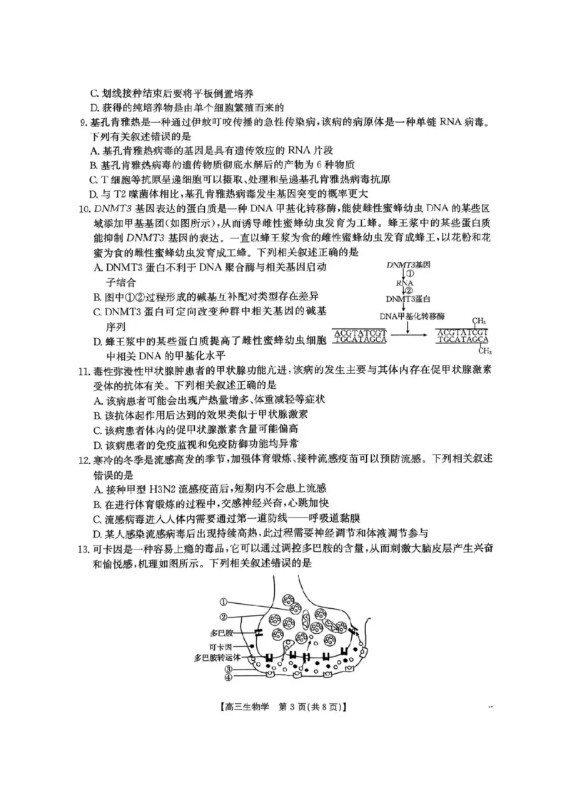 河南省2026届高三下学期3月开学联考生物_2024-2026高三（6-6月题库）_2026年03月高三试卷_260311金太阳&middot;河南省2026届高三下学期3月开学联考（全科）