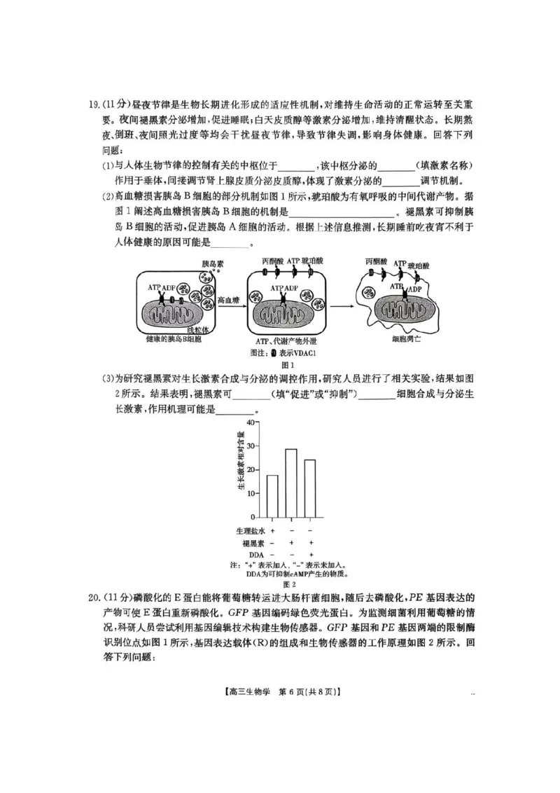 河南省2026届高三下学期3月开学联考生物_2024-2026高三（6-6月题库）_2026年03月高三试卷_260311金太阳&middot;河南省2026届高三下学期3月开学联考（全科）