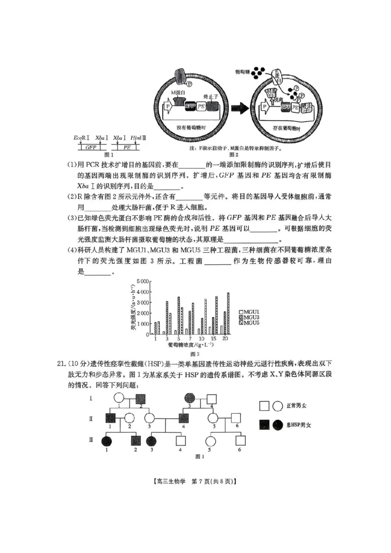 河南省2026届高三下学期3月开学联考生物_2024-2026高三（6-6月题库）_2026年03月高三试卷_260311金太阳&middot;河南省2026届高三下学期3月开学联考（全科）