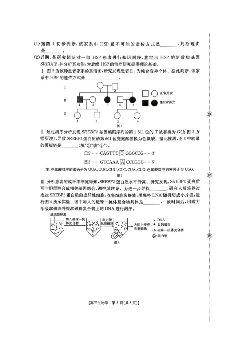 河南省2026届高三下学期3月开学联考生物_2024-2026高三（6-6月题库）_2026年03月高三试卷_260311金太阳&middot;河南省2026届高三下学期3月开学联考（全科）