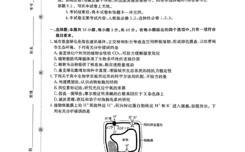 河南省2026届高三下学期3月开学联考生物_2024-2026高三（6-6月题库）_2026年03月高三试卷_260311金太阳&middot;河南省2026届高三下学期3月开学联考（全科）