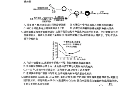 河南省2026届高三下学期3月开学联考生物_2024-2026高三（6-6月题库）_2026年03月高三试卷_260311金太阳&middot;河南省2026届高三下学期3月开学联考（全科）
