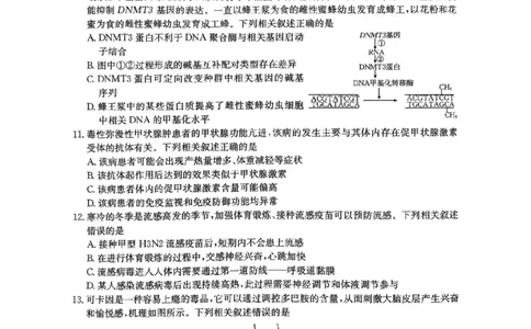 河南省2026届高三下学期3月开学联考生物_2024-2026高三（6-6月题库）_2026年03月高三试卷_260311金太阳&middot;河南省2026届高三下学期3月开学联考（全科）