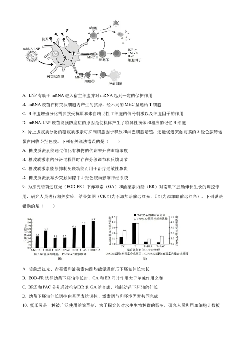 江西省重点中学协作体2026届高三第一次联考生物试卷（含答案）_2024-2026高三（6-6月题库）_2026年03月高三试卷_260303江西省重点中学协作体2025届高三下学期开学第一次联考