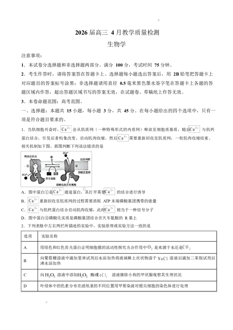 试卷2026届安徽郎溪中学等校高三4月教学质量检测生物学_2024-2026高三（6-6月题库）_2026年04月高三试卷_260418安徽皖南八校2026届高三下学期4月教学质量检测（全科）