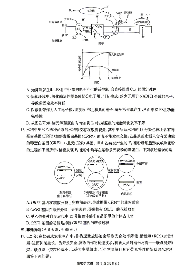 新高考教学教研联盟（长郡二十校）高三下学期4月第二次联考生物_2024-2026高三（6-6月题库）_2026年04月高三试卷