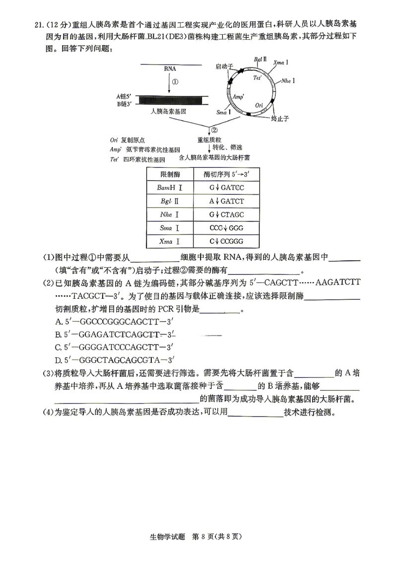 新高考教学教研联盟（长郡二十校）高三下学期4月第二次联考生物_2024-2026高三（6-6月题库）_2026年04月高三试卷