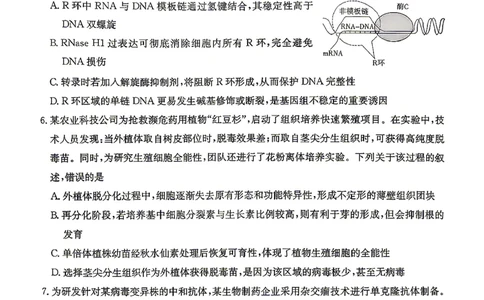 新高考教学教研联盟（长郡二十校）高三下学期4月第二次联考生物_2024-2026高三（6-6月题库）_2026年04月高三试卷