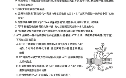 新高考教学教研联盟（长郡二十校）高三下学期4月第二次联考生物_2024-2026高三（6-6月题库）_2026年04月高三试卷
