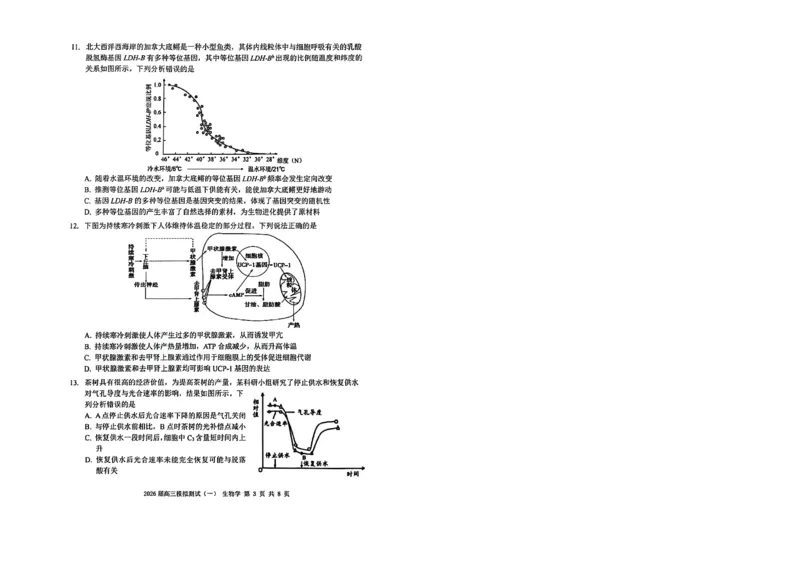 广东省中山市2026届下学期高三一模生物试题（含答案）_2024-2026高三（6-6月题库）_2026年03月高三试卷_260331广东省中山市2026届高三下学期模拟测试（一）（全科）