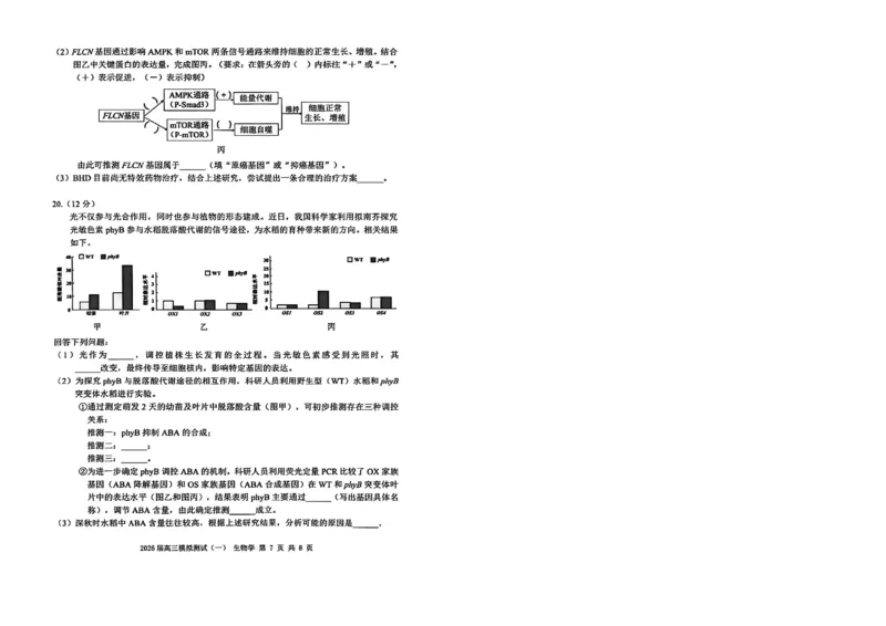 广东省中山市2026届下学期高三一模生物试题（含答案）_2024-2026高三（6-6月题库）_2026年03月高三试卷_260331广东省中山市2026届高三下学期模拟测试（一）（全科）