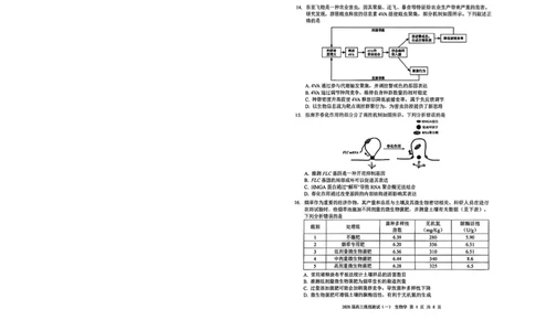 广东省中山市2026届下学期高三一模生物试题（含答案）_2024-2026高三（6-6月题库）_2026年03月高三试卷_260331广东省中山市2026届高三下学期模拟测试（一）（全科）
