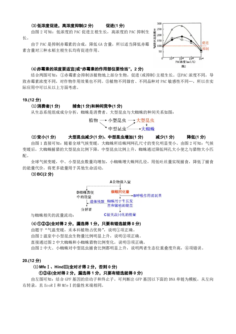 达州市普通高中2026届第二次诊断测试生物答案详解_2024-2026高三（6-6月题库）_2026年04月高三试卷_260420四川省达州市普通高中2026届第二次诊断测试（达州二诊）（全科）