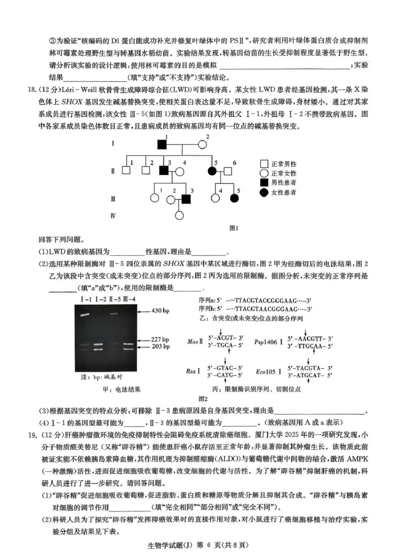 湖南省九校联盟2026届高三第二次联考（暨怀化市一模）生物_2024-2026高三（6-6月题库）_2026年03月高三试卷_260314湖南省九校联盟2026届高三第二次联考（暨怀化市一模）（全科）