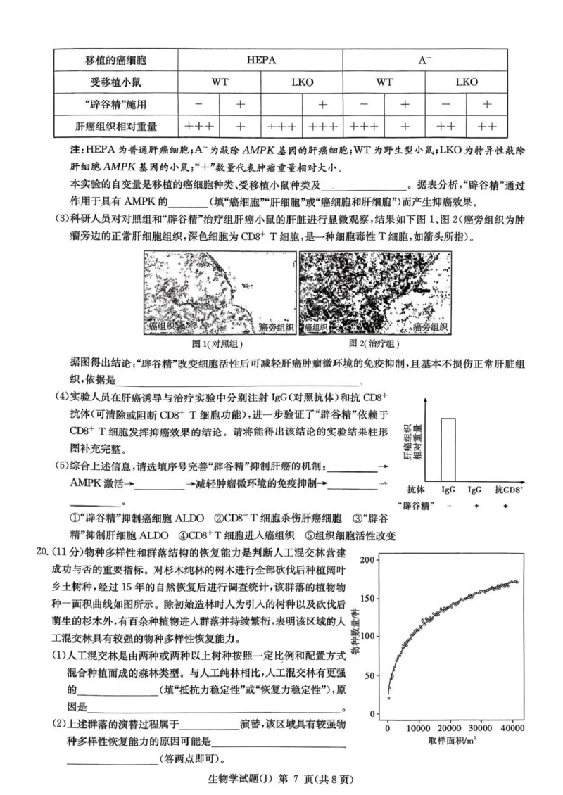 湖南省九校联盟2026届高三第二次联考（暨怀化市一模）生物_2024-2026高三（6-6月题库）_2026年03月高三试卷_260314湖南省九校联盟2026届高三第二次联考（暨怀化市一模）（全科）