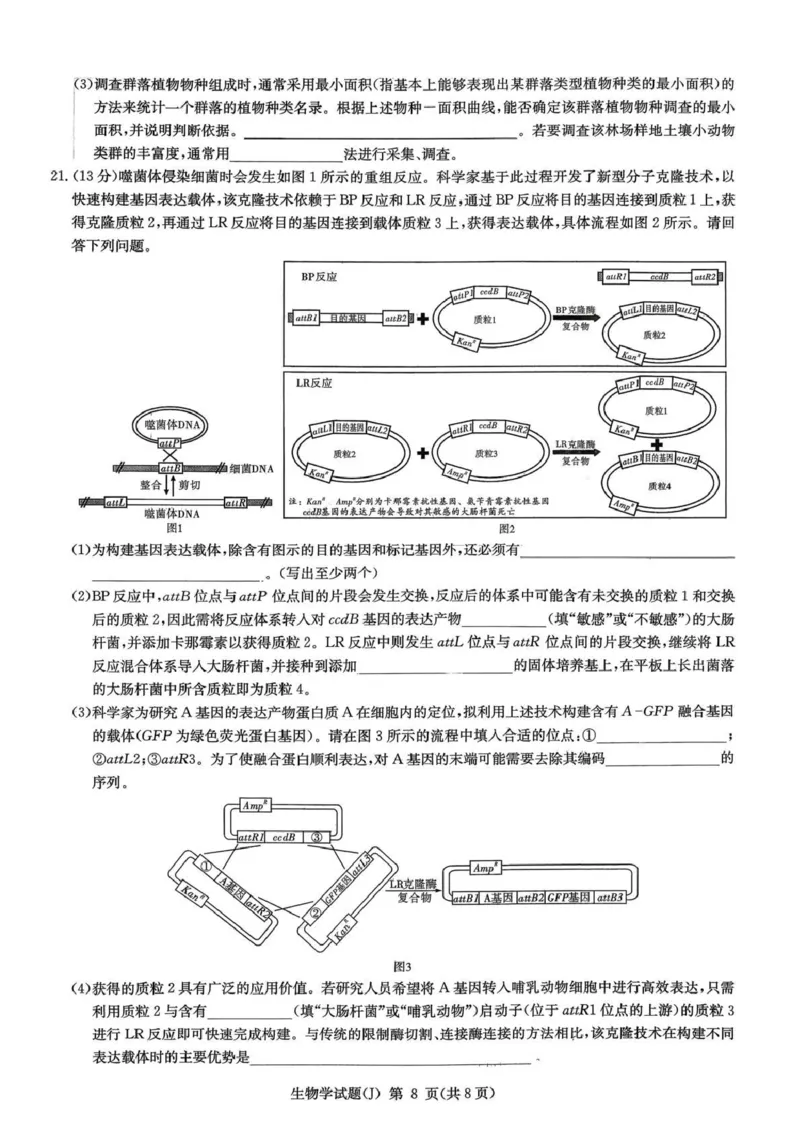 湖南省九校联盟2026届高三第二次联考（暨怀化市一模）生物_2024-2026高三（6-6月题库）_2026年03月高三试卷_260314湖南省九校联盟2026届高三第二次联考（暨怀化市一模）（全科）