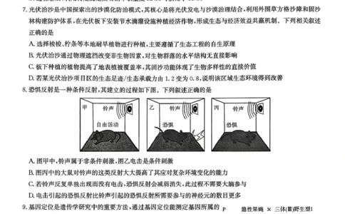 湖南省九校联盟2026届高三第二次联考（暨怀化市一模）生物_2024-2026高三（6-6月题库）_2026年03月高三试卷_260314湖南省九校联盟2026届高三第二次联考（暨怀化市一模）（全科）
