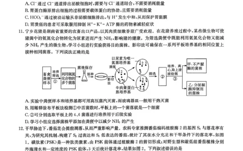 湖南省九校联盟2026届高三第二次联考（暨怀化市一模）生物_2024-2026高三（6-6月题库）_2026年03月高三试卷_260314湖南省九校联盟2026届高三第二次联考（暨怀化市一模）（全科）