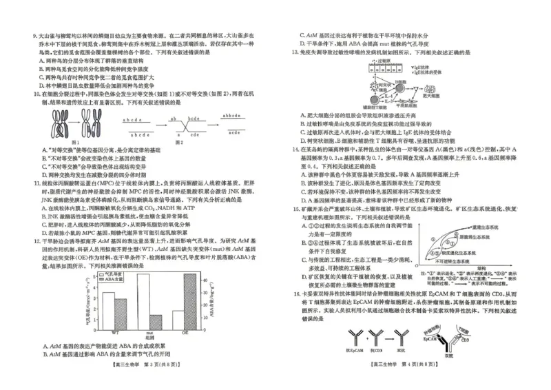 云南省2026届高三下学期4月联考（26-338C）生物_2024-2026高三（6-6月题库）_2026年04月高三试卷_260427金太阳&middot;云南省2026届高三下学期4月联考（26-338C）（全科）