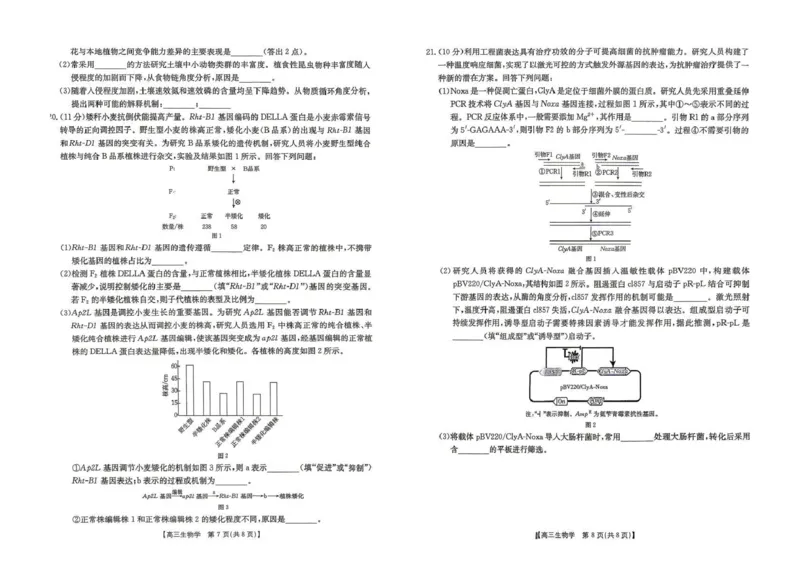 云南省2026届高三下学期4月联考（26-338C）生物_2024-2026高三（6-6月题库）_2026年04月高三试卷_260427金太阳&middot;云南省2026届高三下学期4月联考（26-338C）（全科）