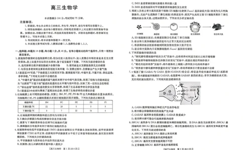云南省2026届高三下学期4月联考（26-338C）生物_2024-2026高三（6-6月题库）_2026年04月高三试卷_260427金太阳&middot;云南省2026届高三下学期4月联考（26-338C）（全科）